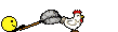 :pollo